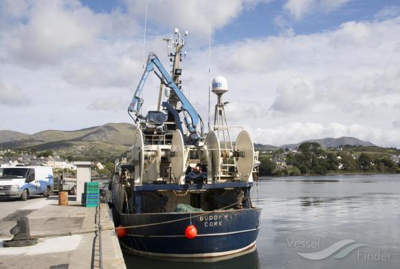 buddy m (Fishing vessel) - IMO , MMSI 250105800, Call Sign EI7539 under the flag of Ireland