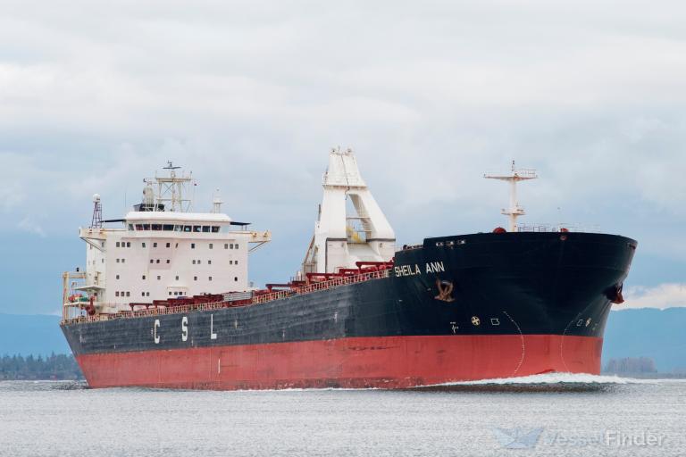 sheila ann (Self Discharging Bulk Carrier) - IMO 9138094, MMSI 308717000, Call Sign C6FD2 under the flag of Bahamas