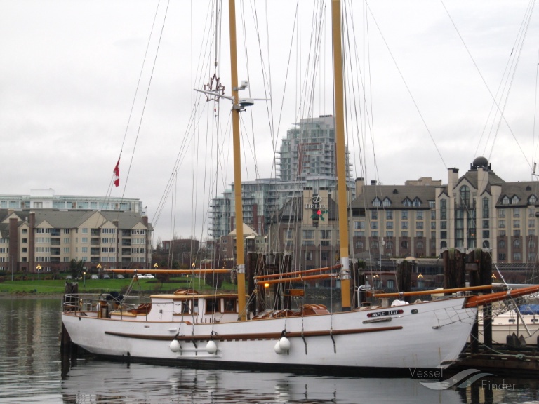 sv maple leaf (Passenger ship) - IMO , MMSI 316004039, Call Sign CFN7034 under the flag of Canada