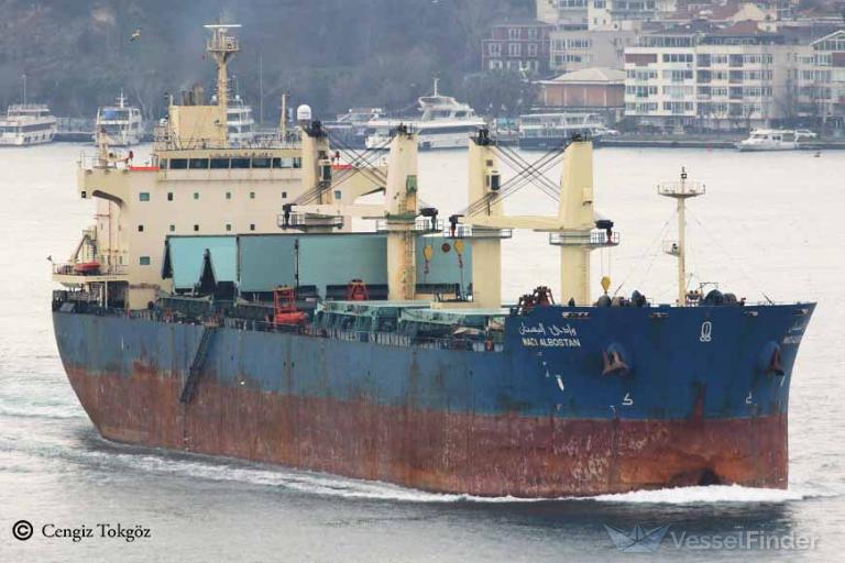 wadi albostan (Bulk Carrier) - IMO 9460722, MMSI 622121410, Call Sign 6AGS under the flag of Egypt