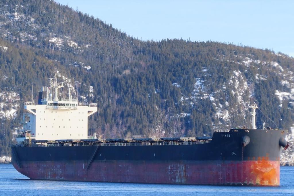 tinos (Bulk Carrier) - IMO 9597795, MMSI 636017003, Call Sign D5IV6 under the flag of Liberia