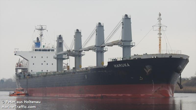 haruka (Bulk Carrier) - IMO 9589619, MMSI 636019587, Call Sign D5VE6 under the flag of Liberia