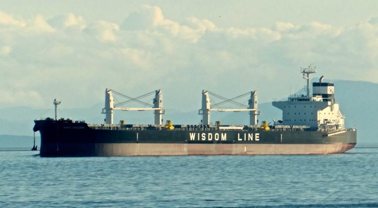 amis unicorn (Bulk Carrier) - IMO 9882279, MMSI 636019822, Call Sign D5WI3 under the flag of Liberia