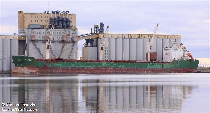 blacky (Bulk Carrier) - IMO 9393149, MMSI 212337000, Call Sign 5BBL2 under the flag of Cyprus