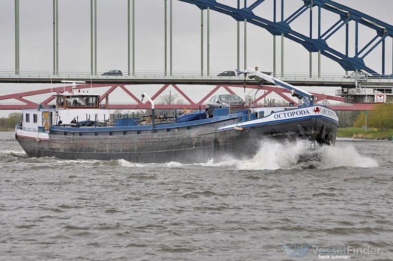 octopoda (Cargo ship) - IMO , MMSI 244670342, Call Sign PF6402 under the flag of Netherlands