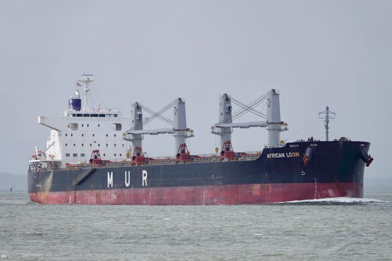 african loon (Bulk Carrier) - IMO 9748071, MMSI 311000859, Call Sign C6EC8 under the flag of Bahamas