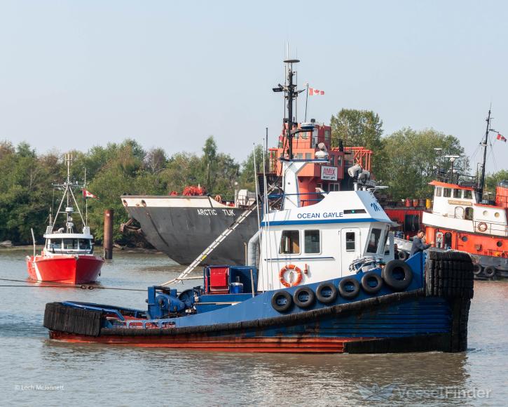 mv ocean gayle (Towing vessel) - IMO , MMSI 316014836 under the flag of Canada