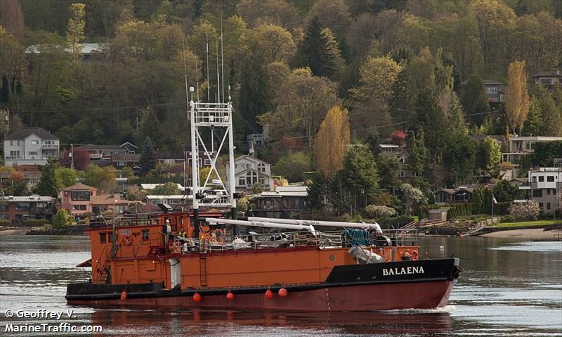 balaena (Fishing Vessel) - IMO 7051450, MMSI 367014560, Call Sign WDC3811 under the flag of United States (USA)