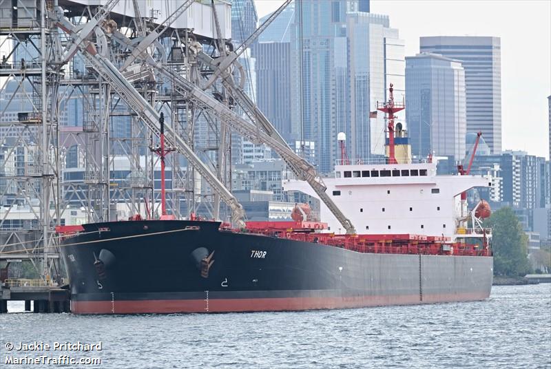 thor (Bulk Carrier) - IMO 9291418, MMSI 538003238, Call Sign V7PI9 under the flag of Marshall Islands