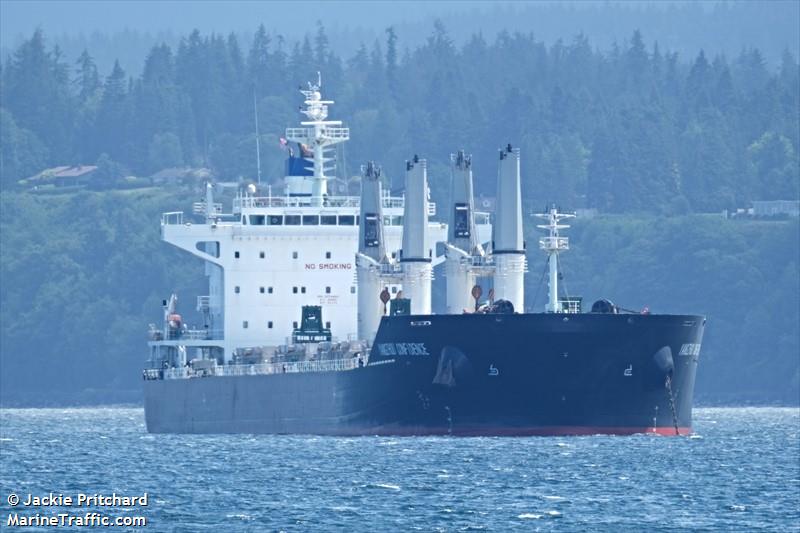 yangzhou confidence (Bulk Carrier) - IMO 9774850, MMSI 538007402, Call Sign V7LX3 under the flag of Marshall Islands