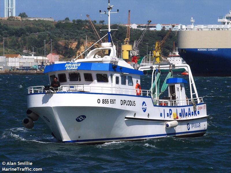 diplodus (Fishing vessel) - IMO , MMSI 263415350, Call Sign CUQZ9 under the flag of Portugal