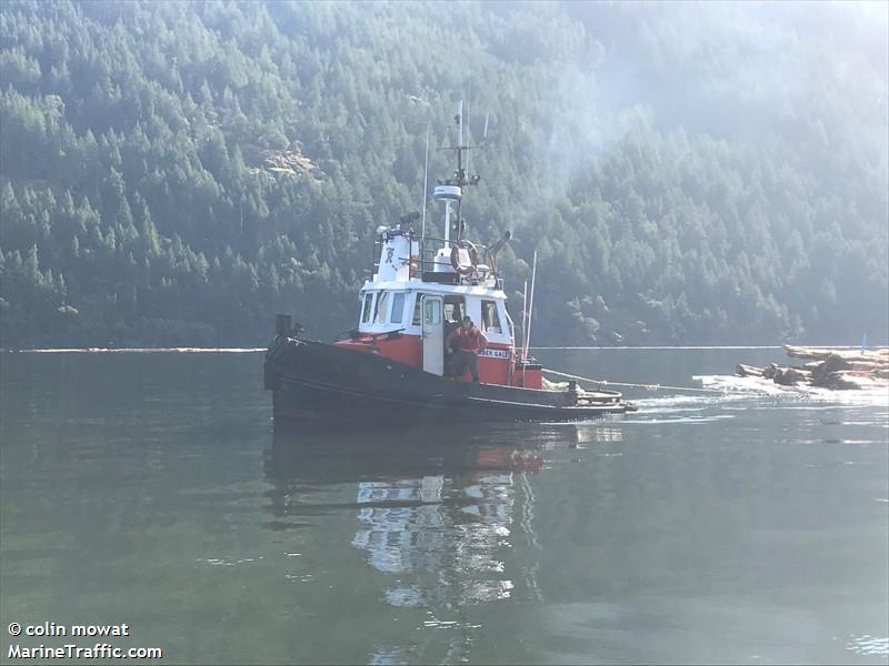 timber gale (Towing vessel) - IMO , MMSI 316027778 under the flag of Canada
