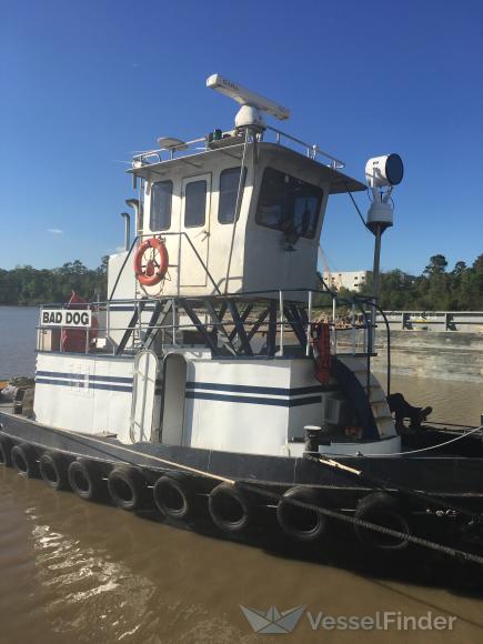 bad dog (Towing vessel) - IMO , MMSI 367033750, Call Sign WDC4975 under the flag of United States (USA)