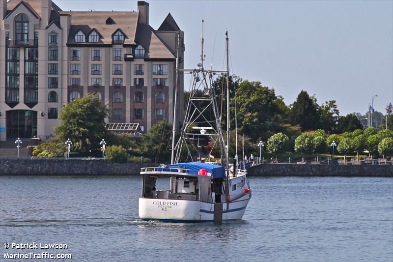 cold fish (Fishing vessel) - IMO , MMSI 316003701 under the flag of Canada