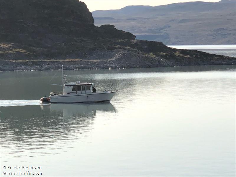 tino (Sailing vessel) - IMO , MMSI 331000446, Call Sign XPG4434 under the flag of Greenland