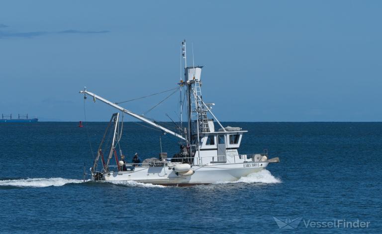 early bird 2 (Towing vessel) - IMO , MMSI 367011450, Call Sign WDC3623 under the flag of United States (USA)