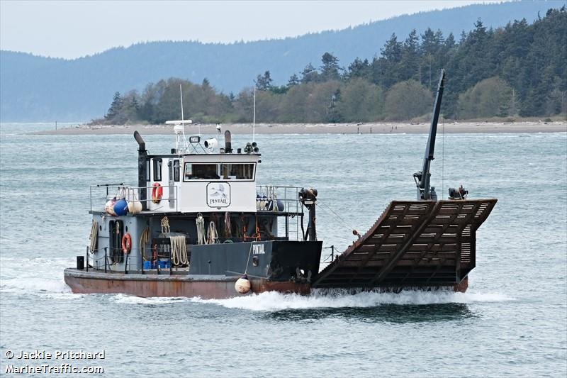 pintail (Towing vessel) - IMO , MMSI 367460260, Call Sign WDF5177 under the flag of United States (USA)