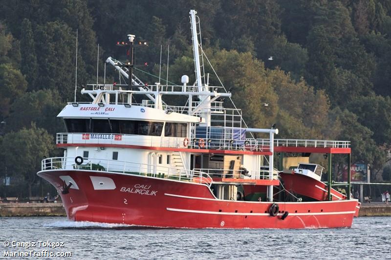 cali balikcilik (Fishing vessel) - IMO , MMSI 271073278, Call Sign TCA5000 under the flag of Turkey