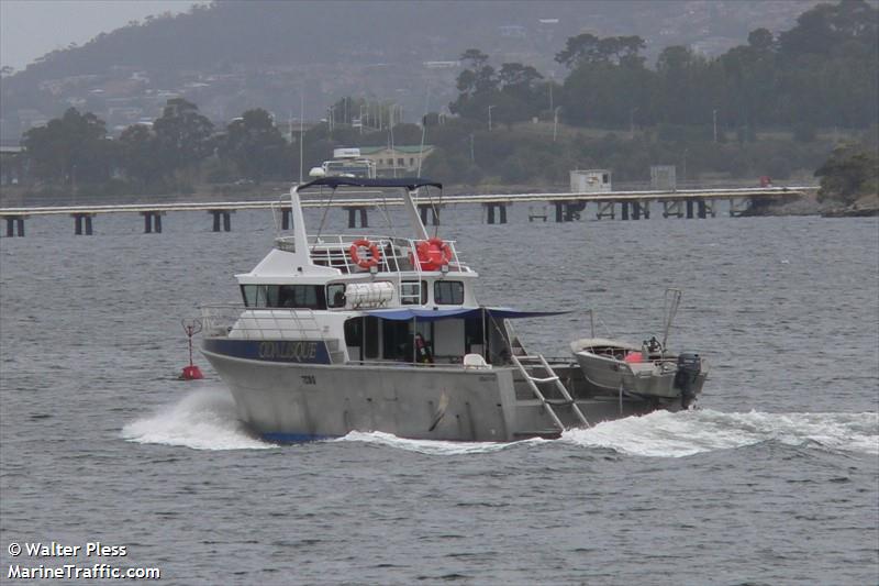 odalisque (Pleasure craft) - IMO , MMSI 503025240, Call Sign TCYB under the flag of Australia