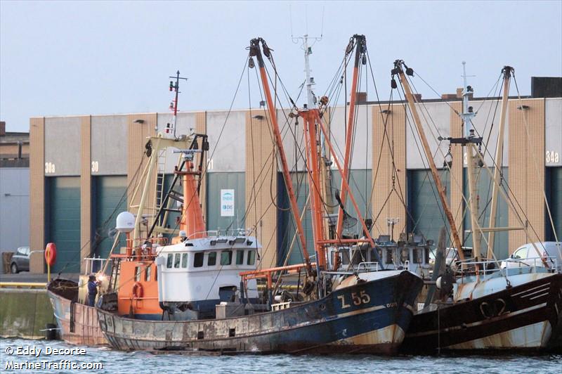 mfv z55 goede hoop (Fishing vessel) - IMO , MMSI 205296000, Call Sign OPCC under the flag of Belgium