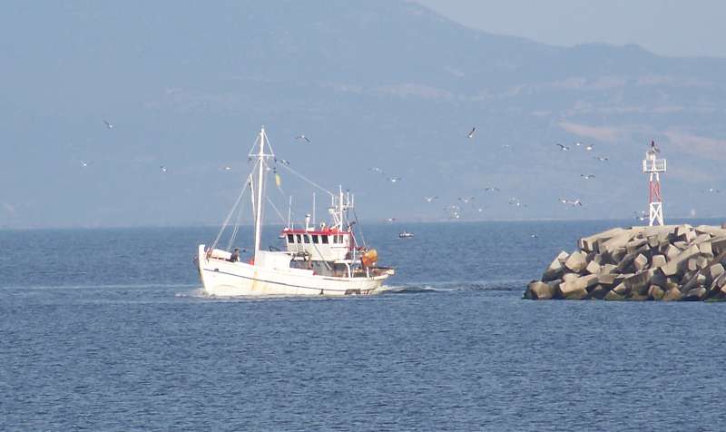 capetan polichronis (Fishing vessel) - IMO 8787707, MMSI 237058000, Call Sign SV3590 under the flag of Greece