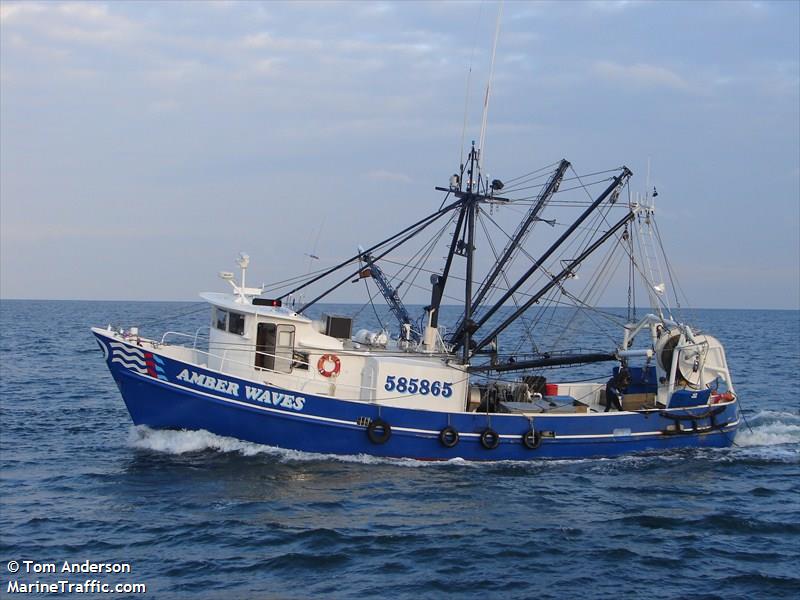 amber waves (Fishing vessel) - IMO , MMSI 367134520, Call Sign WDD3670 under the flag of United States (USA)