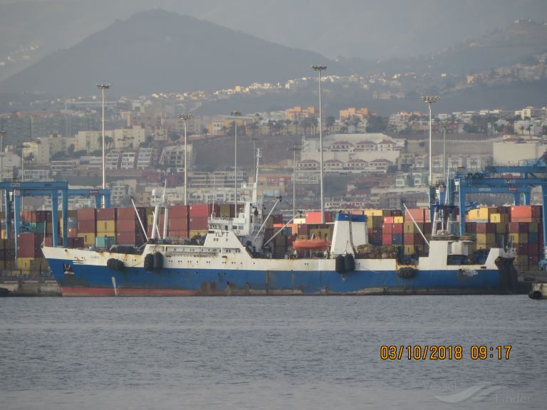 marshal vasilevskiy (Fish Factory Ship) - IMO 8033869, MMSI 613003617, Call Sign TJMC72 under the flag of Cameroon