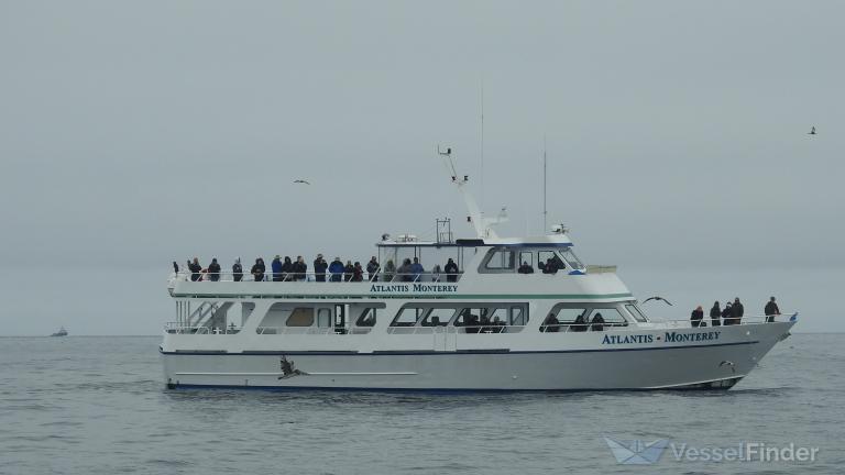 atlantis monterey (Passenger ship) - IMO , MMSI 367737070, Call Sign WDI8287 under the flag of United States (USA)