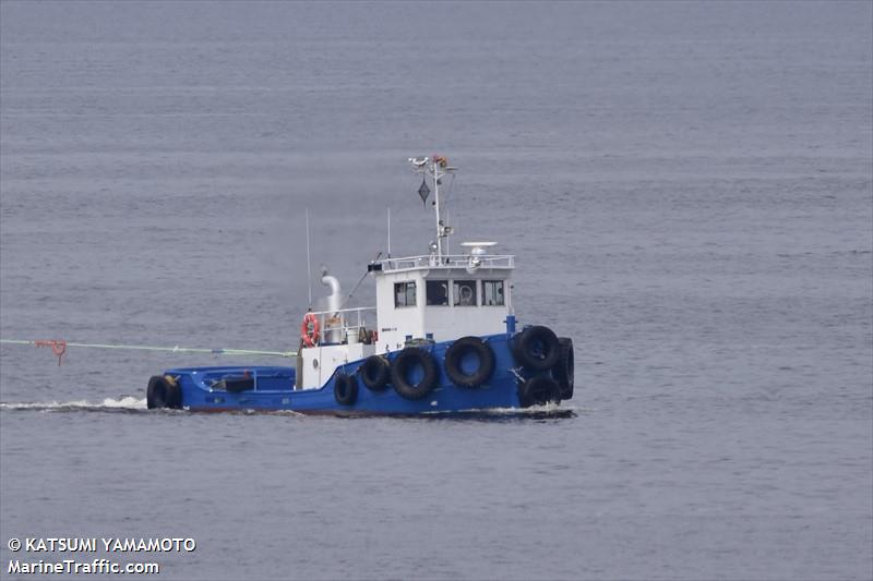 shinwamaru (Tug) - IMO , MMSI 431009702 under the flag of Japan