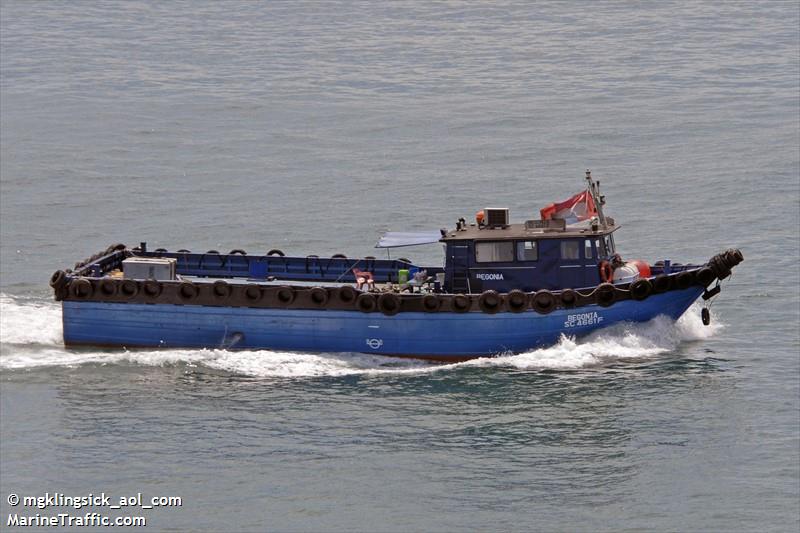 begonia (Cargo ship) - IMO , MMSI 457266000, Call Sign JVCA6 under the flag of Mongolia