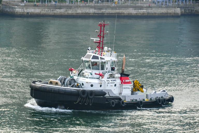 sung kong (Tug) - IMO 9843431, MMSI 477308500, Call Sign VRSG7 under the flag of Hong Kong