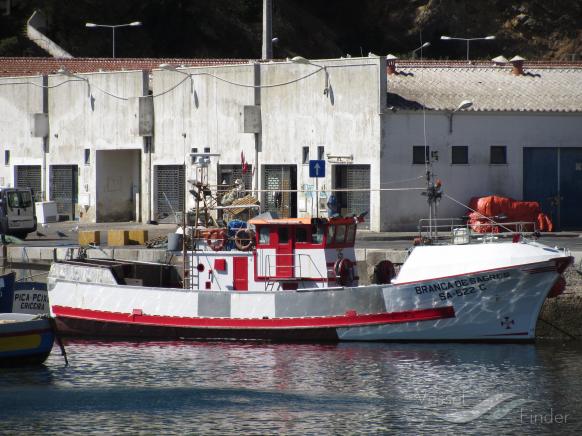 branca de sagres (Unknown) - IMO , MMSI 204209000, Call Sign CUOV5 under the flag of Azores