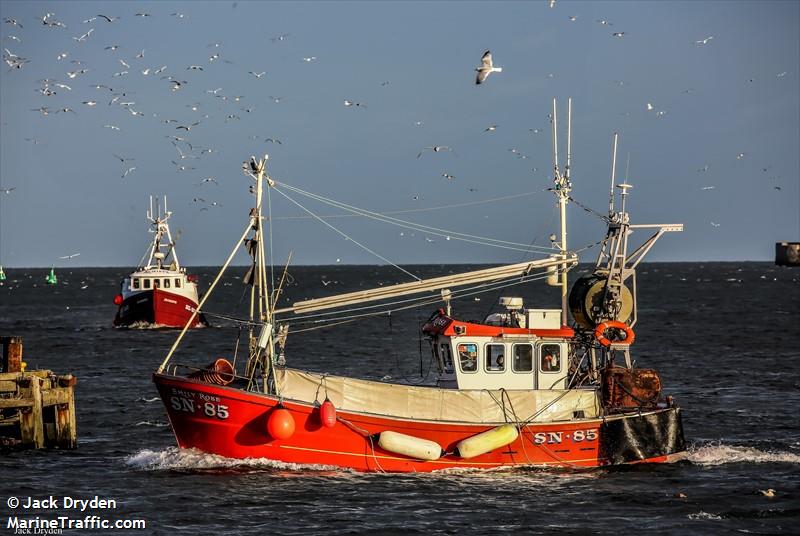emily rose (Fishing vessel) - IMO , MMSI 235108577 under the flag of United Kingdom (UK)