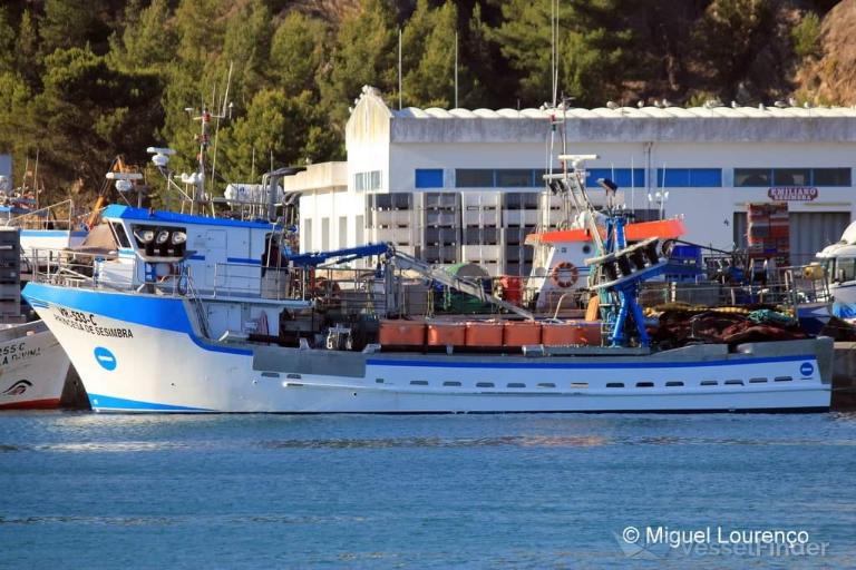 princesa de sesimbra (Fishing vessel) - IMO , MMSI 263424640, Call Sign CURP 3 under the flag of Portugal