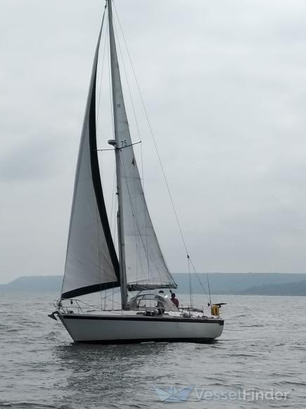lofoten (Sailing vessel) - IMO , MMSI 227927210, Call Sign FAG3180 under the flag of France
