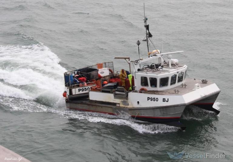 bj p950 (Fishing vessel) - IMO , MMSI 232014146, Call Sign MVKZ9 under the flag of United Kingdom (UK)