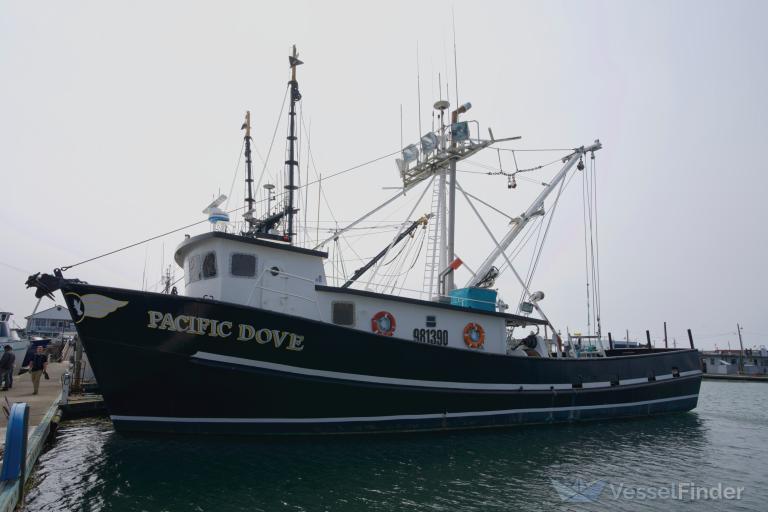 pacific dove (Fishing vessel) - IMO , MMSI 367171980, Call Sign WDD6365 under the flag of United States (USA)