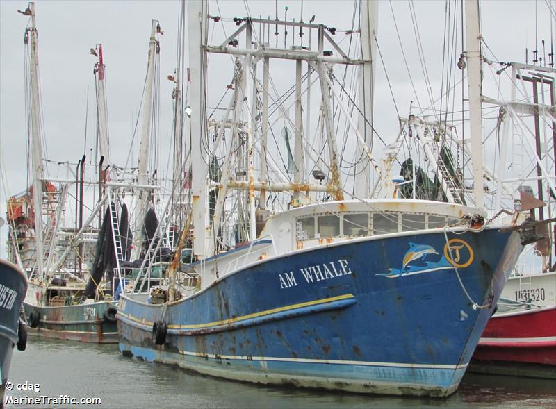am whale (Fishing vessel) - IMO , MMSI 367718320, Call Sign WDI6400 under the flag of United States (USA)