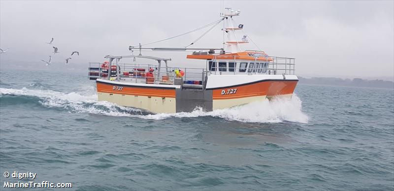 dignity (Fishing vessel) - IMO , MMSI 250005752, Call Sign EIWA8 under the flag of Ireland