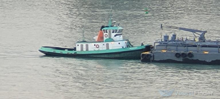williamhoey (Tug) - IMO , MMSI 367043250, Call Sign WD5884 under the flag of United States (USA)
