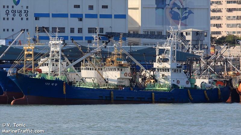 no125 daeyang (Unknown) - IMO , MMSI 440129790, Call Sign 314DY under the flag of Korea