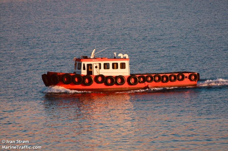 delfin-4 (Port tender) - IMO , MMSI 271010444, Call Sign TCA2868 under the flag of Turkey