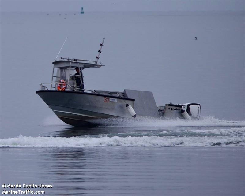 31 workskiff (Military ops) - IMO , MMSI 369970786 under the flag of United States (USA)