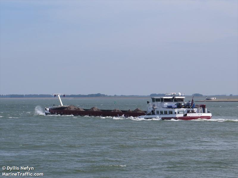 amaranthus (Cargo ship) - IMO , MMSI 244710698, Call Sign PB8784 under the flag of Netherlands