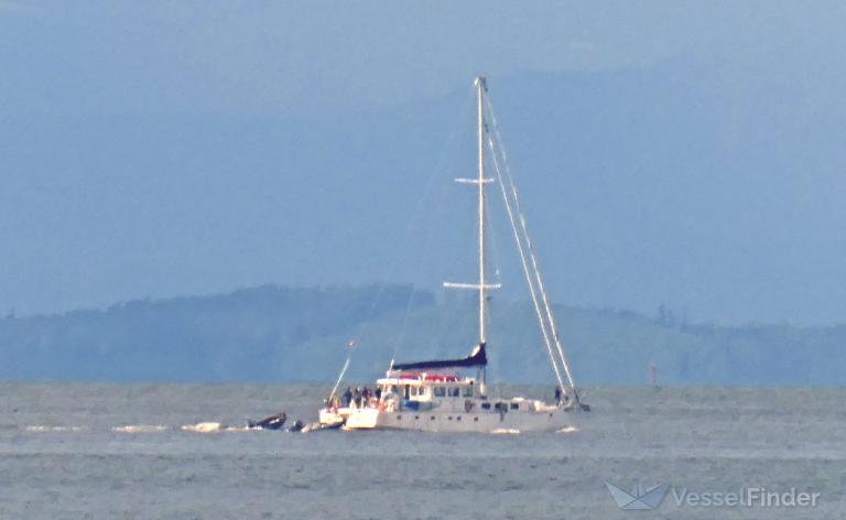 island solitude (Sailing vessel) - IMO , MMSI 316036324 under the flag of Canada