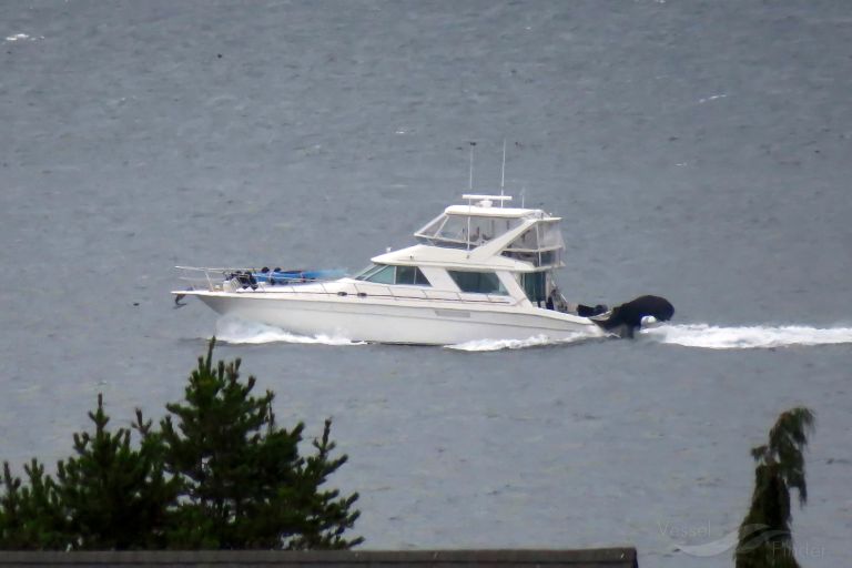 too many options (Pleasure craft) - IMO , MMSI 366921290, Call Sign WDB6279 under the flag of United States (USA)