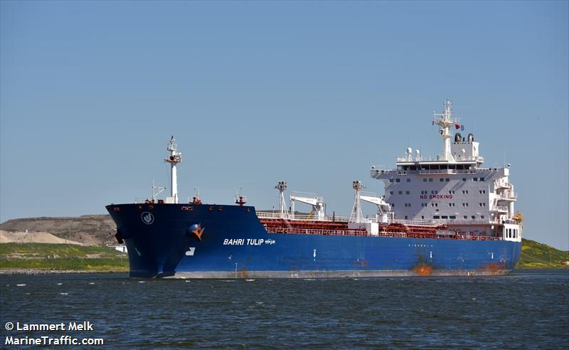 bahri tulip (Crude Oil Tanker) - IMO 9324497, MMSI 403548000, Call Sign HZGF under the flag of Saudi Arabia