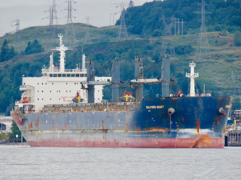 jiu heng (Bulk Carrier) - IMO 9452646, MMSI 477528900, Call Sign VRTF7 under the flag of Hong Kong