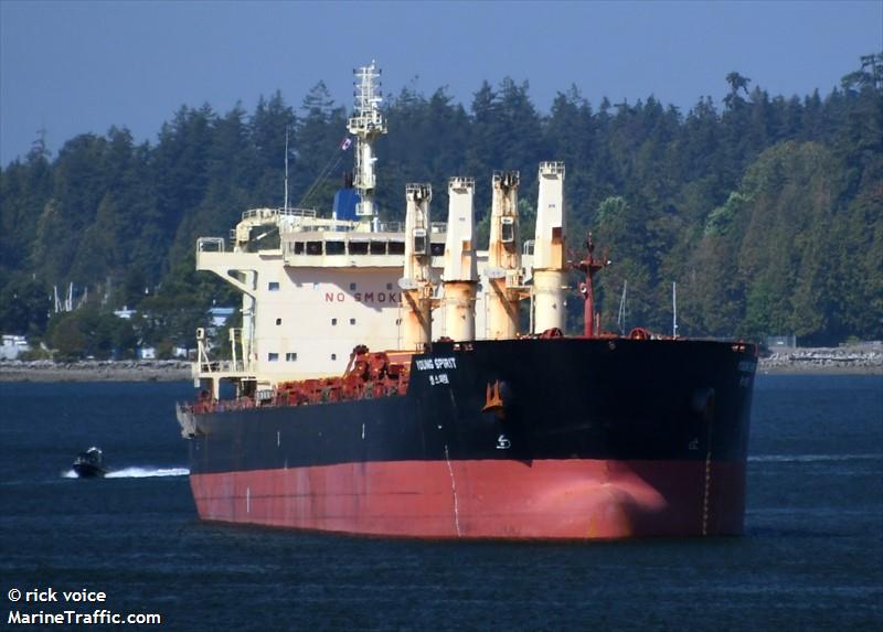 young spirit (Bulk Carrier) - IMO 9686558, MMSI 538008997, Call Sign V7A4176 under the flag of Marshall Islands