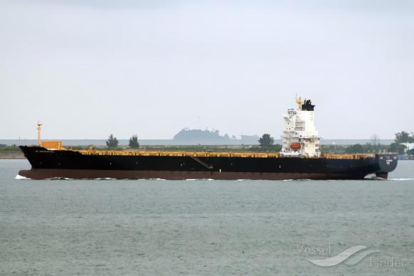 kota megah (Container Ship) - IMO 9632765, MMSI 566864000, Call Sign 9V9978 under the flag of Singapore